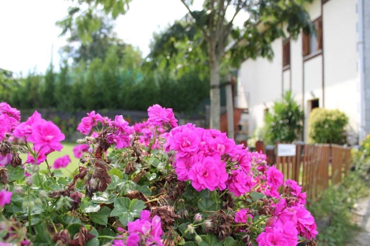 Casa Rural Zelaieta Berribi Itziar Buitenkant foto